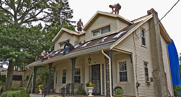 Best Roof Gutter Cleaning  in Boonville, MO